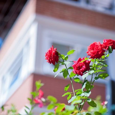 B&B Il Pettirosso Malonno Luaran gambar