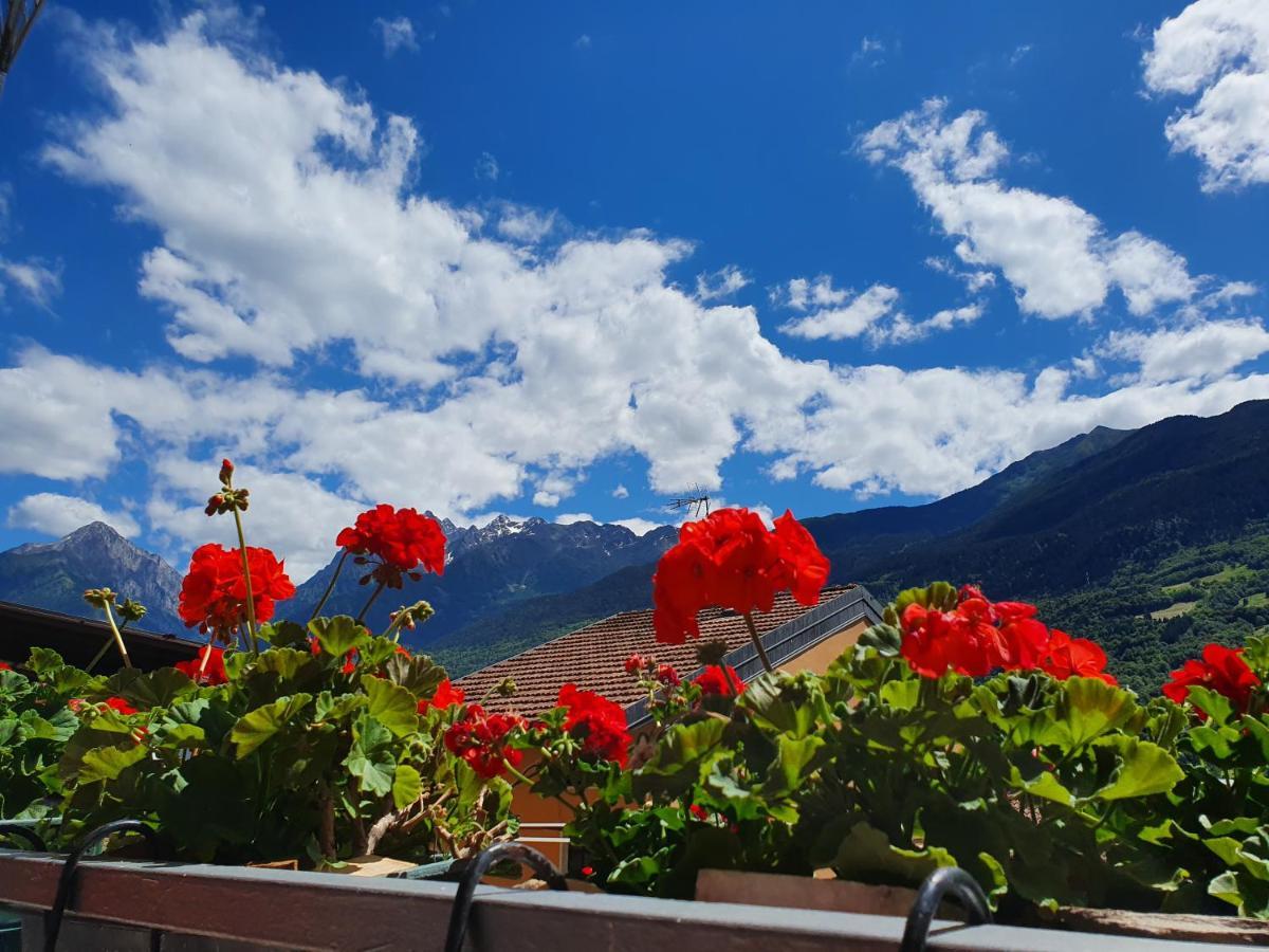 B&B Il Pettirosso Malonno Luaran gambar