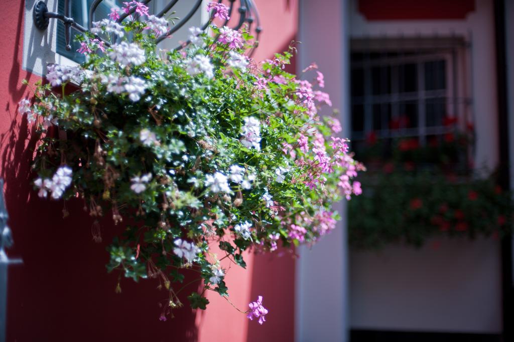 B&B Il Pettirosso Malonno Luaran gambar