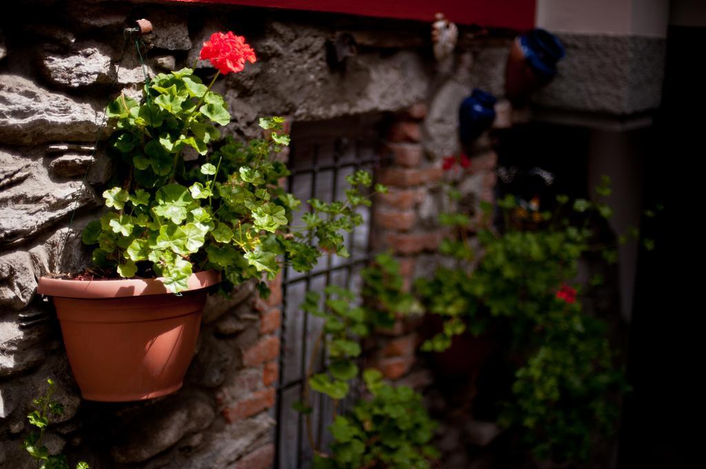 B&B Il Pettirosso Malonno Luaran gambar